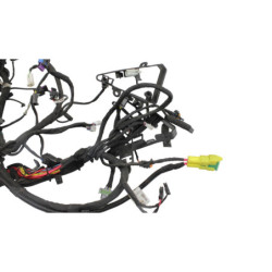 Faisceau électrique HARLEY DAVIDSON ST 1250 PAN AMERICA ABS 2021 à 2024
