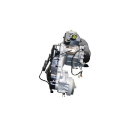 Moteur TNT MOTOR ROMA III 50 R 10 2011 à 2018