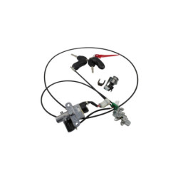 Kit neiman complet non codé PIAGGIO 1 MOPED 2021 à 2023