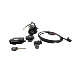 Kit neiman complet codé YAMAHA YPR 250 XMAX 2010 à 2012