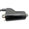 Bobine d'allumage SUZUKI GS 500 2003 à 2006