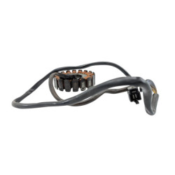 Stator SUZUKI GS 500 2003 à 2006