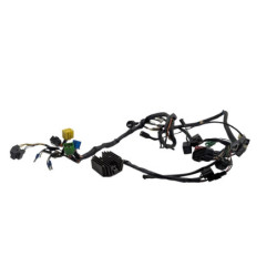 Faisceau électrique SUZUKI GSE 500 2001 à 2002