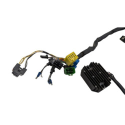Faisceau électrique SUZUKI GSE 500 2001 à 2002