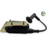 Bobine d'allumage PIAGGIO FLY 50 2009 à 2016
