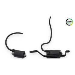 Bobine d'allumage YAMAHA TDM 900 ABS 2002 à 2014