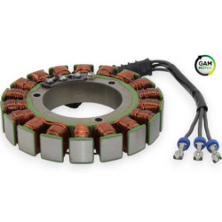 Stator INDIAN SPRINGFIELD 1811 2016 à 2021