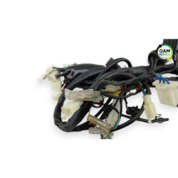 Faisceau électrique UNIVERSAL BIKE TY 50 QT 2020 à 2022
