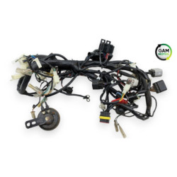 Faisceau électrique UNIVERSAL BIKE TY 50 QT 2020 à 2022