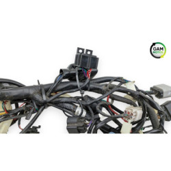 Faisceau électrique UNIVERSAL BIKE TY 50 QT 2020 à 2022