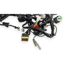Faisceau électrique UNIVERSAL BIKE TY 50 QT 2020 à 2022