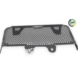 Grille de radiateur BMW R 1200 NINET ABS 2014 à 2023