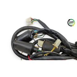 Faisceau électrique ZNEN ZN 125 T 2006 à 2016