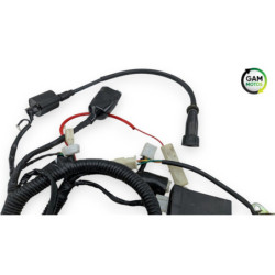 Faisceau électrique ORCAL ASTOR 125 2015 à 2023
