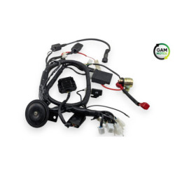 Faisceau électrique ORCAL ASTOR 125 2015 à 2023