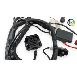 Faisceau électrique ORCAL ASTOR 125 2015 à 2023