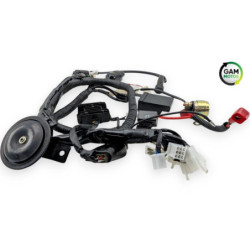 Faisceau électrique ORCAL ASTOR 125 2015 à 2023