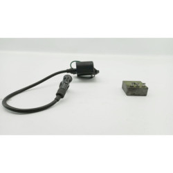 Bobine d'allumage RIEJU MRX 50 2001 à 2008