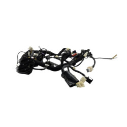 Faisceau électrique BRIXTON BX 125 2020 à 2022