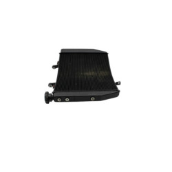 Radiateur d'eau TRIUMPH STREET TRIPLE 765 R ABS 2020 à 2023
