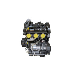 Moteur TRIUMPH STREET TRIPLE 675 R 2011 à 2012