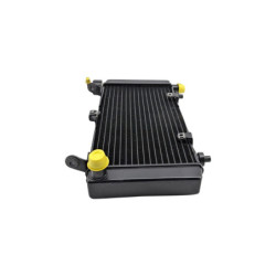 Radiateur d'eau MOTO MORINI XCAPE 650 2021 à 2025