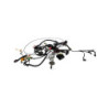 Faisceau électrique MOTRON BREEZY 50 2021 à 2026