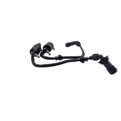 Bobine d'allumage BENELLI BN 125 2022 à 2024