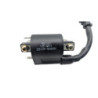 Bobine d'allumage BENELLI BN 125 2022 à 2024