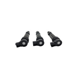 Bobine d'allumage TRIUMPH STREET TRIPLE 765 RS ABS 2023 à 2024