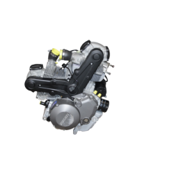 Moteur DUCATI MONSTER 796 2010 à 2014